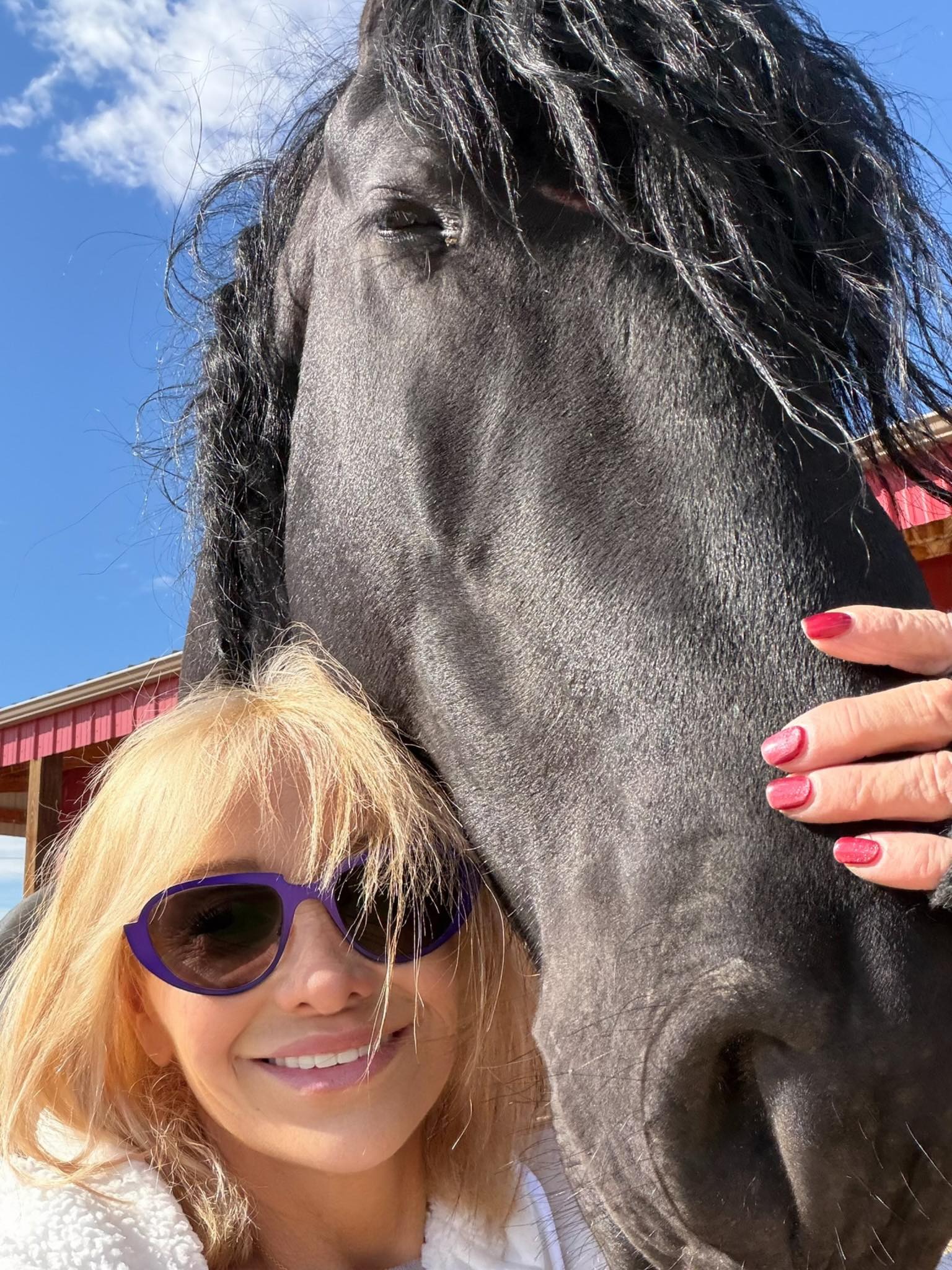 Friesian STERLING OBSIDEON - Sold